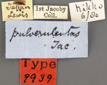 Media type: image; Entomology 9939   Aspect: labels